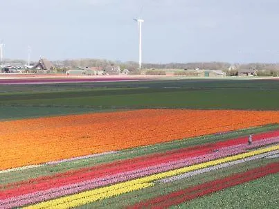 Dutch At The River Kolhorn